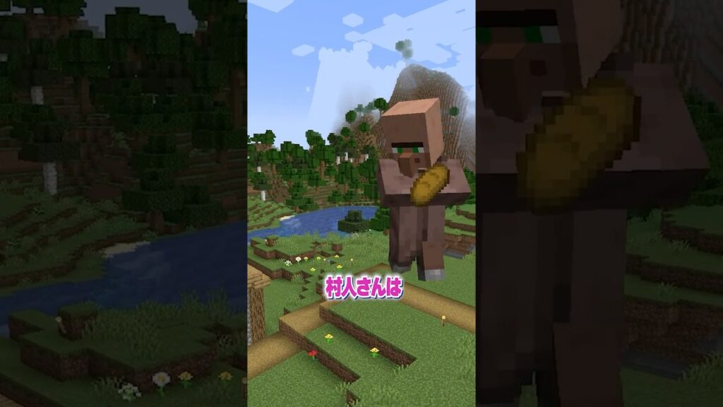 村人さんの役割の違い【まいくら・マインクラフト】