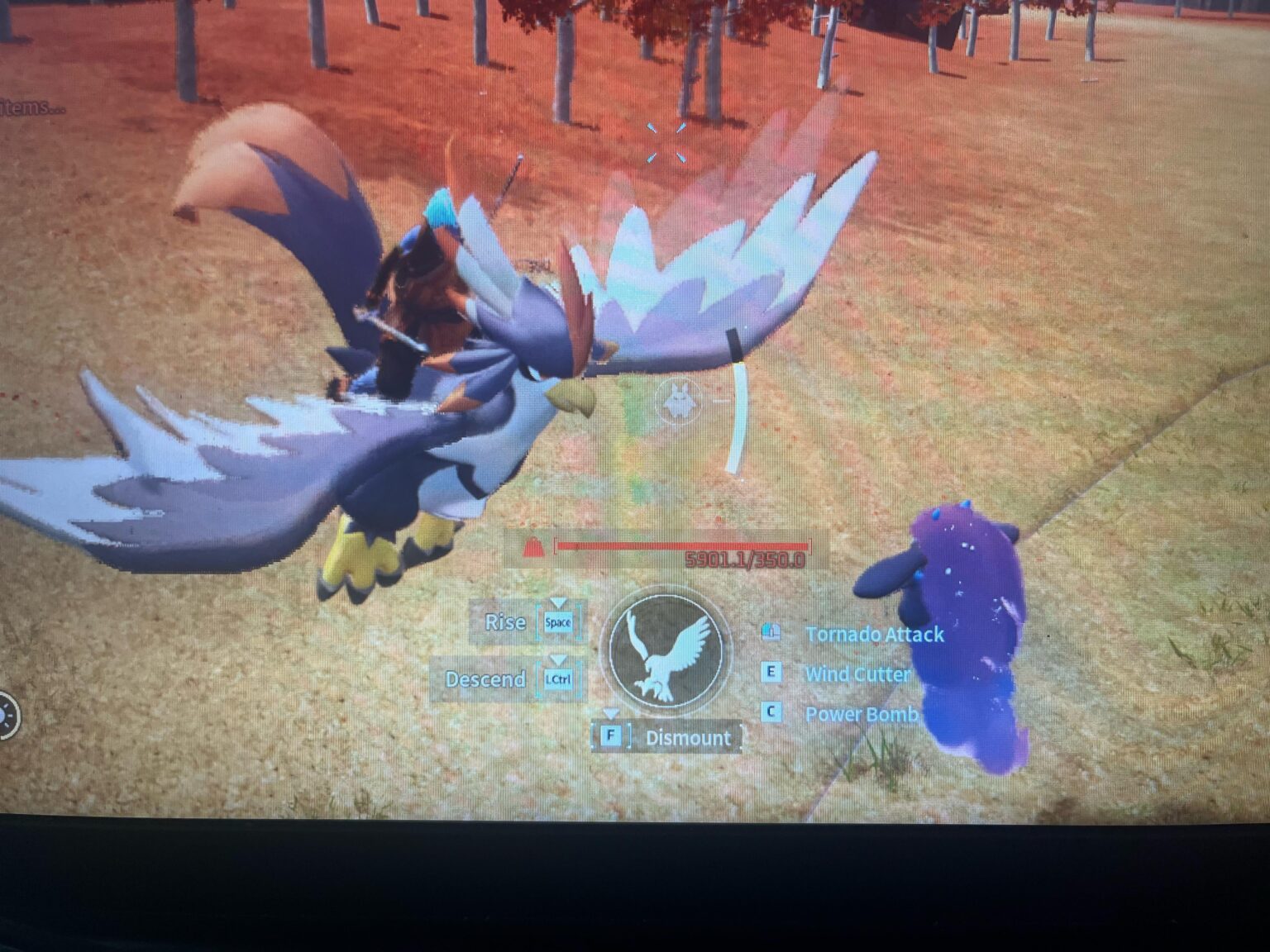 この鳥は苦しんでいます 🙏