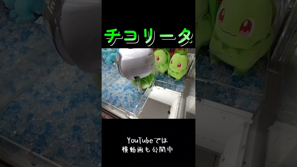 #クレーンゲーム #攻略 #ポケモン #ポケモン30周年 #チコリータ