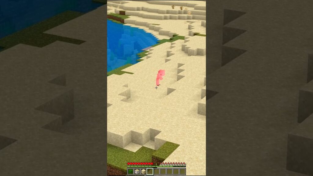 絶対にバレないドッキリ🤫 #minecraft #マイクラ #shorts