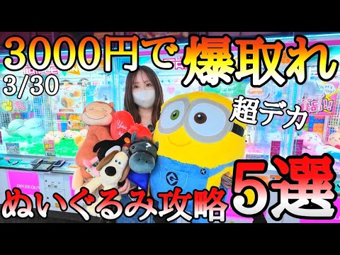 3000円で爆取れ!!原価割れの赤字確定ぬいぐるみ攻略5選!!