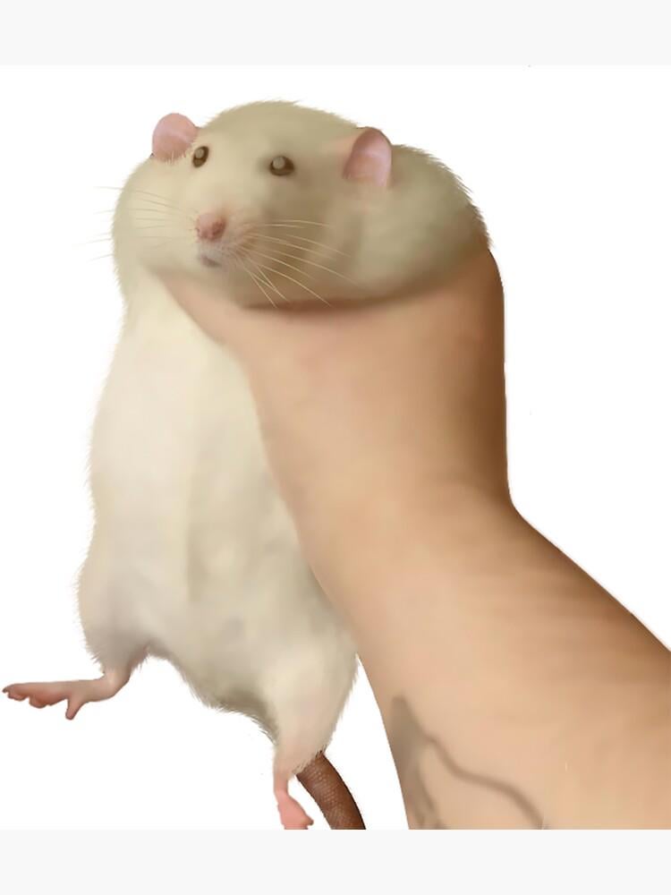 あなたが脚本家なら、ハーシャー (ククルカンやベナレスなど) のペットとなるホンカイの生き物をどのようにデザインしますか?