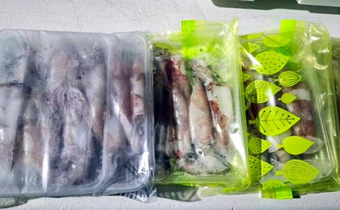 沖のキャスティングゲームでメタボサワラ連発！全員安打のチャンスあり【三重】