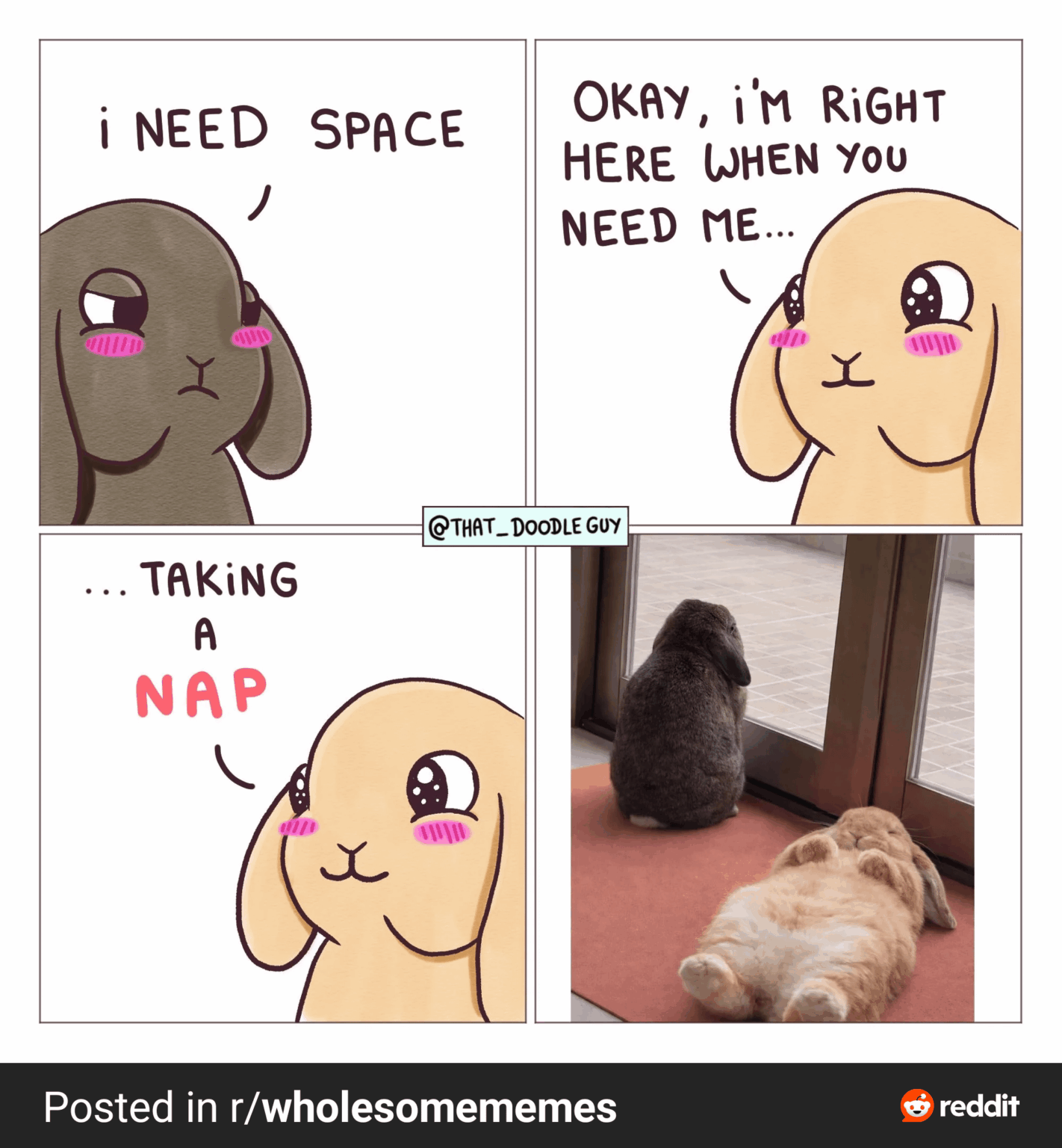 ※野生のザビエルが登場