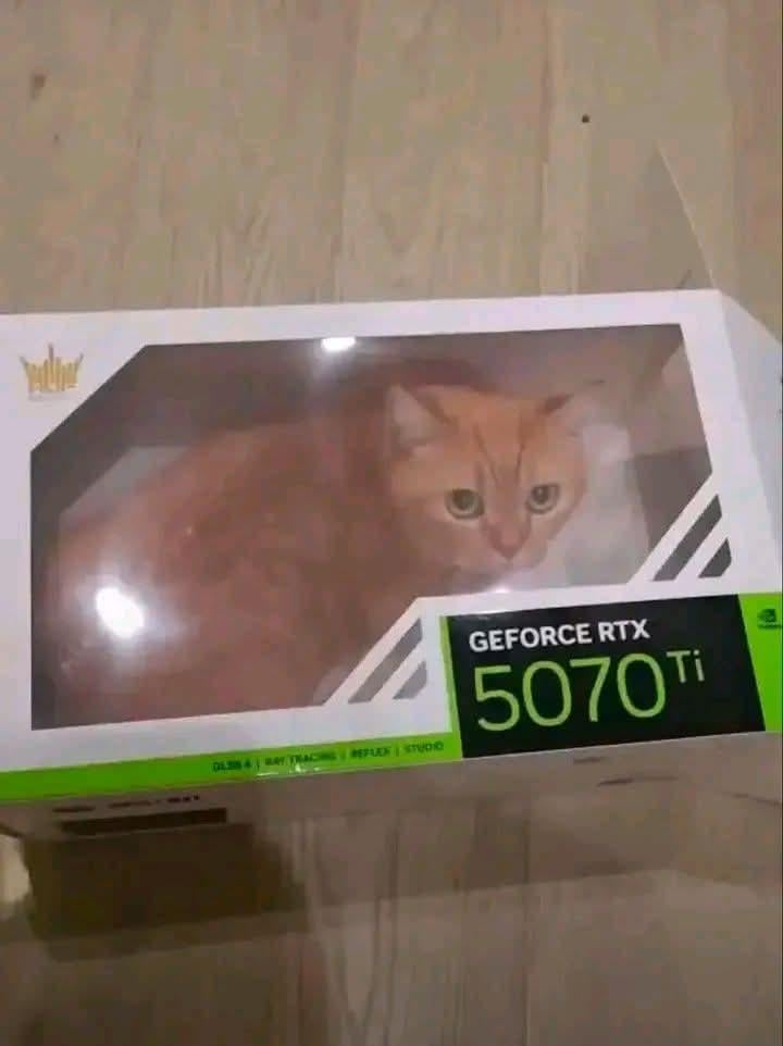 ホットテイク