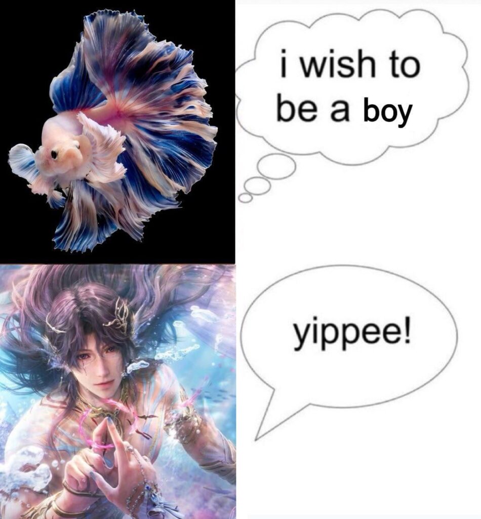 私のベタ魚 🥹