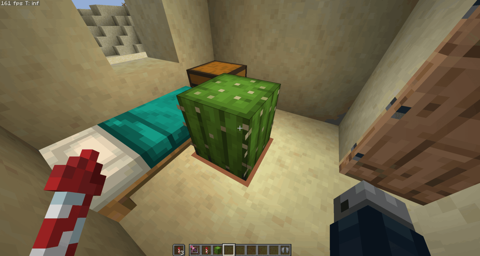 砂漠の家の真ん中にぴったりのサボテンを見つけました