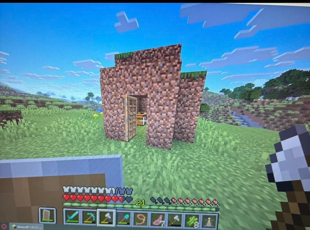 私のMinecraftの世界で、なぜか自然に作られたこの土小屋を見つけました。 私のMinecraftの世界で、なぜか自然に作られたこの土小屋を見つけました。