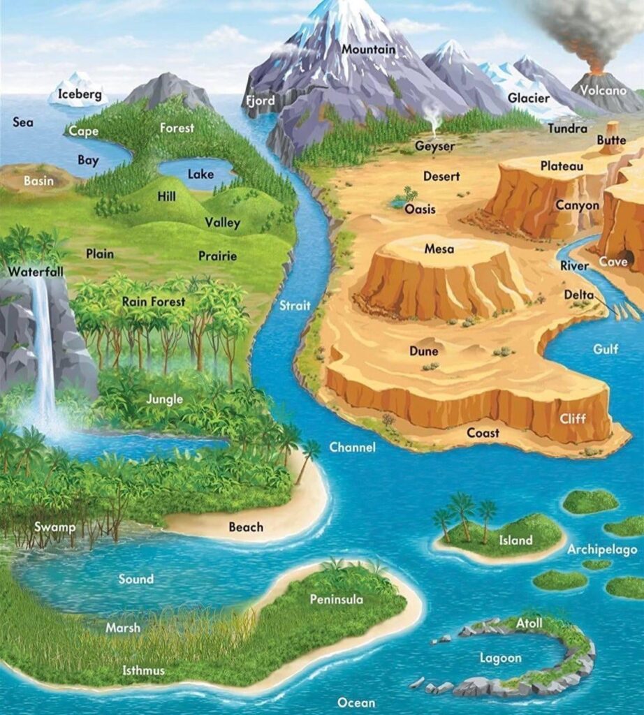 こんな種を探してるの？