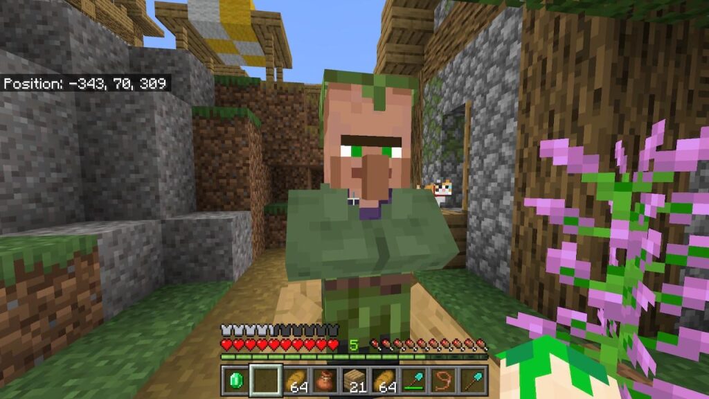 この村人は誰ですか？これ一度しか見たことないけど気になってた