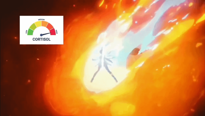 コルチゾール低下時間