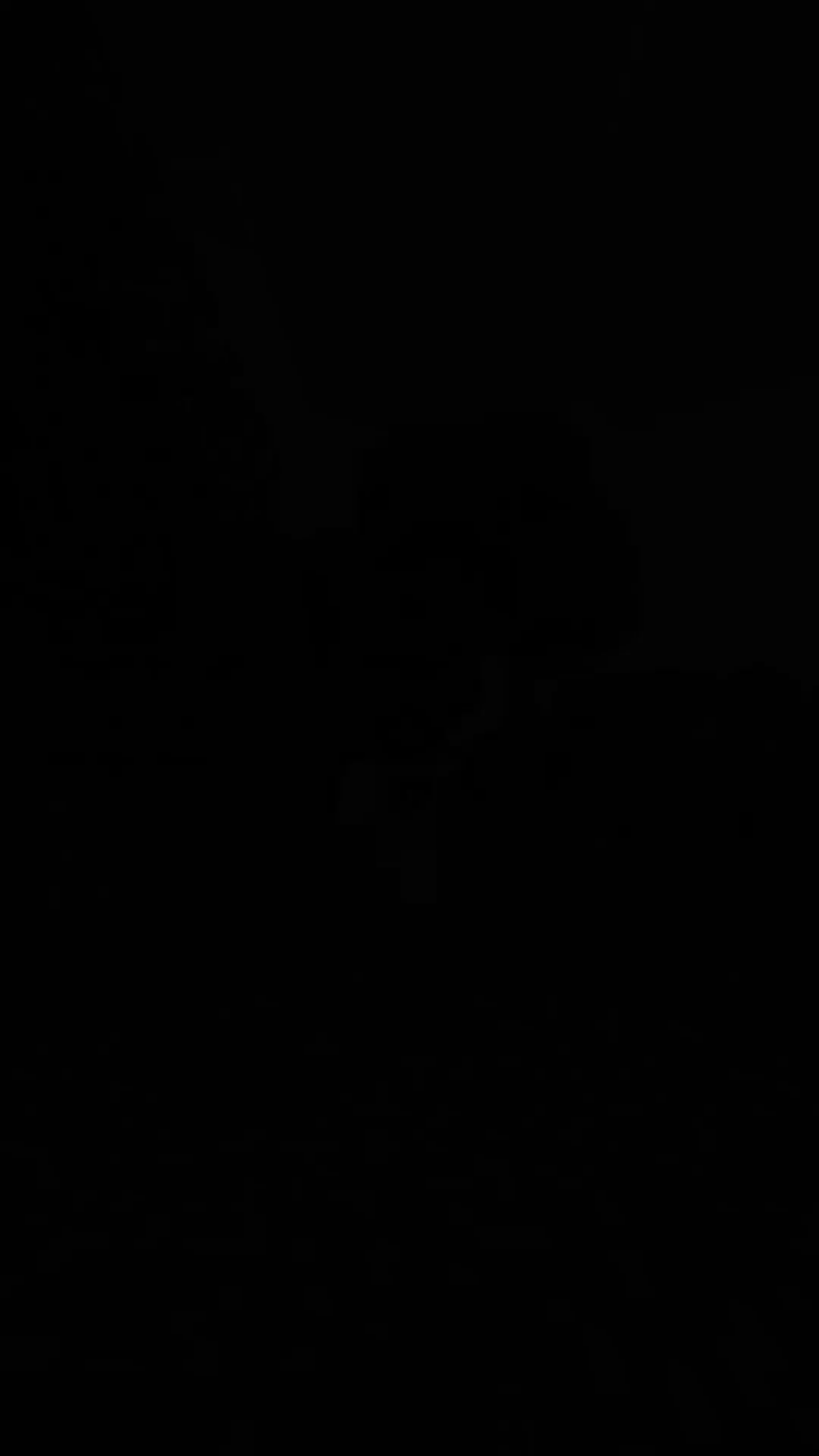 何年も経って、私はジョジョの奇妙な冒険の新しいデータパック、スティール・ボール・ランのスタンドD4Cの活動を開始しました！