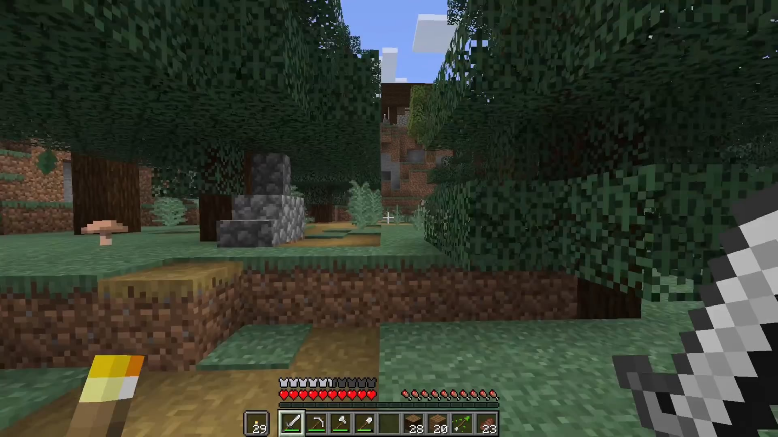 裁判室につながるアゼリアの木