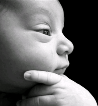 それは実行可能です...そうですよね？