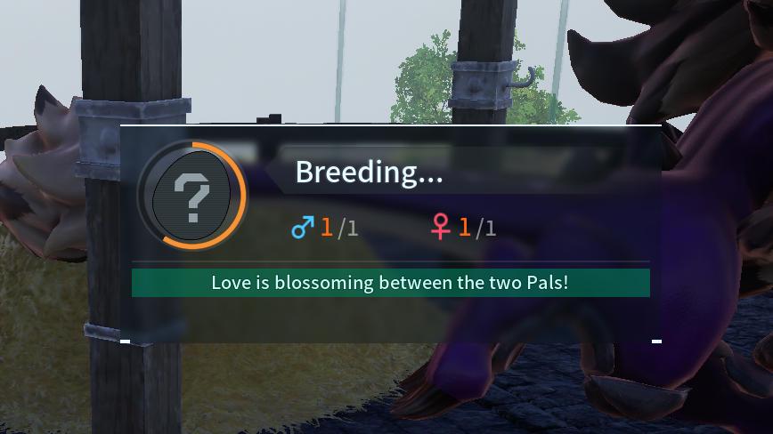 愛と何の関係があるの?