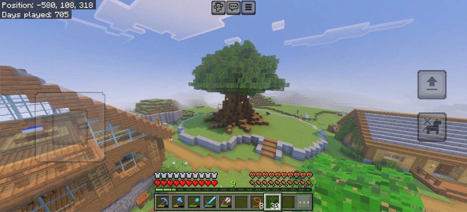 まずは大きな木の所へ行きます