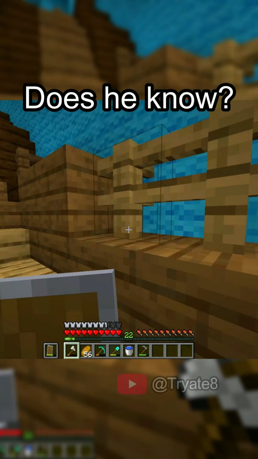 友人と私は、サバイバルでこれを SMP 上に構築しました。彼はそれを使ってこのビデオを作成しました...