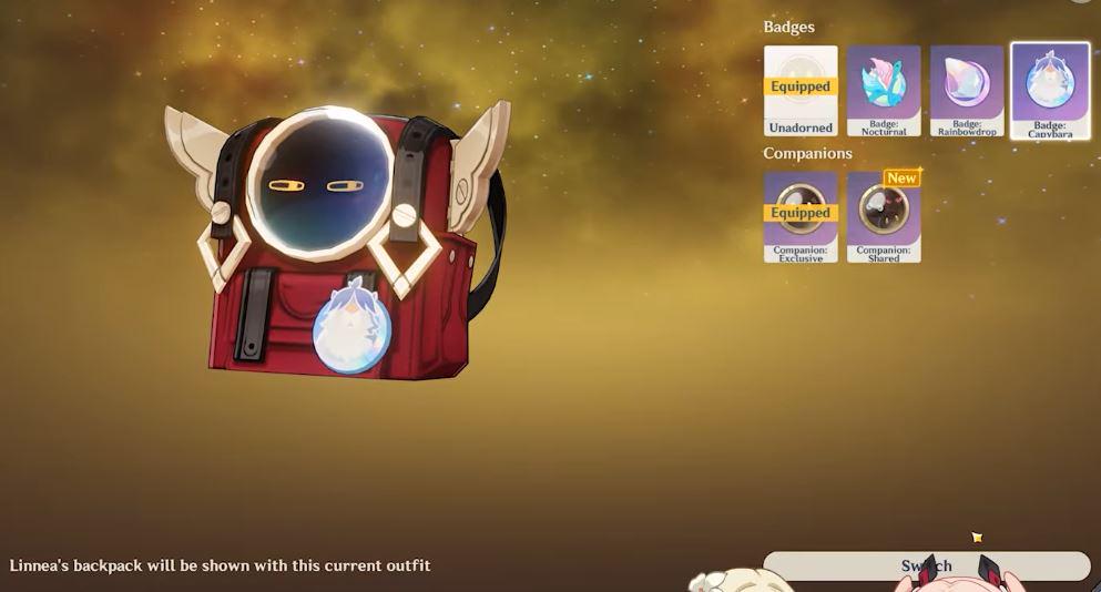 リネアのバックパックはカスタマイズ可能