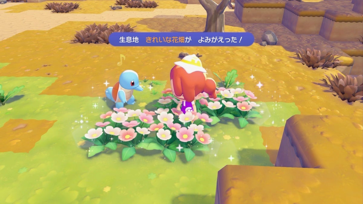 ポケモンの「生息地」　２