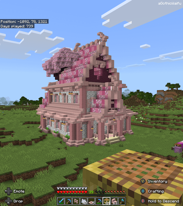 私のサバイバルハウスを見てください！