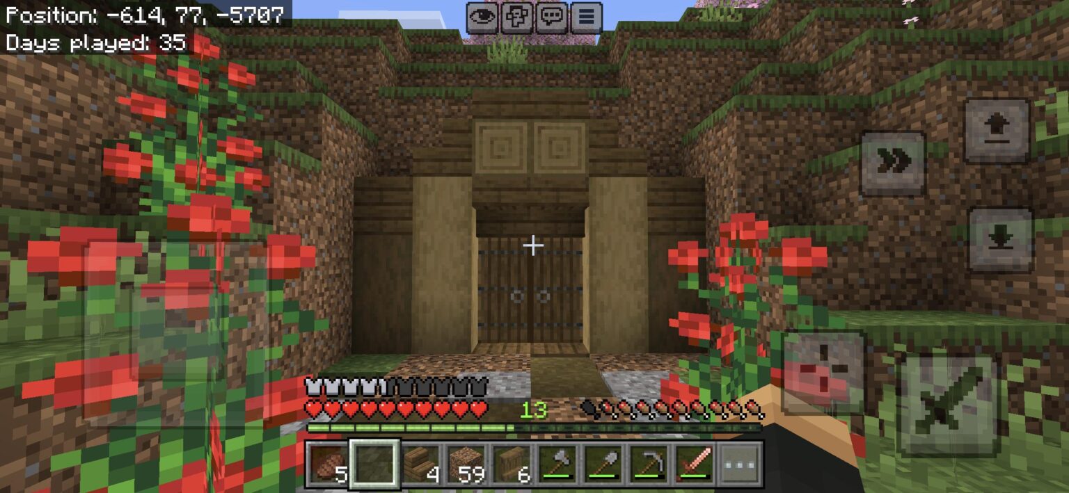 私の洞窟の家の入り口を評価してください！