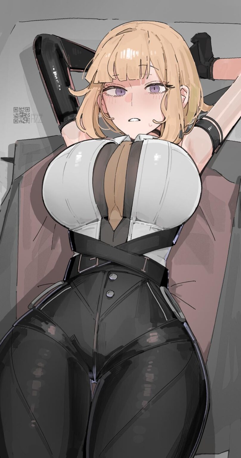 エヴリン・シュバリエ (AZZ 著)