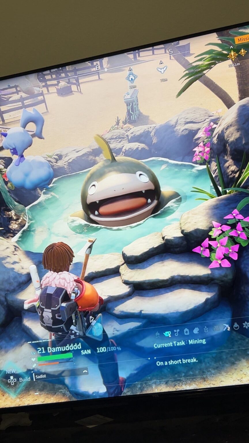 お気に入りのヤシ