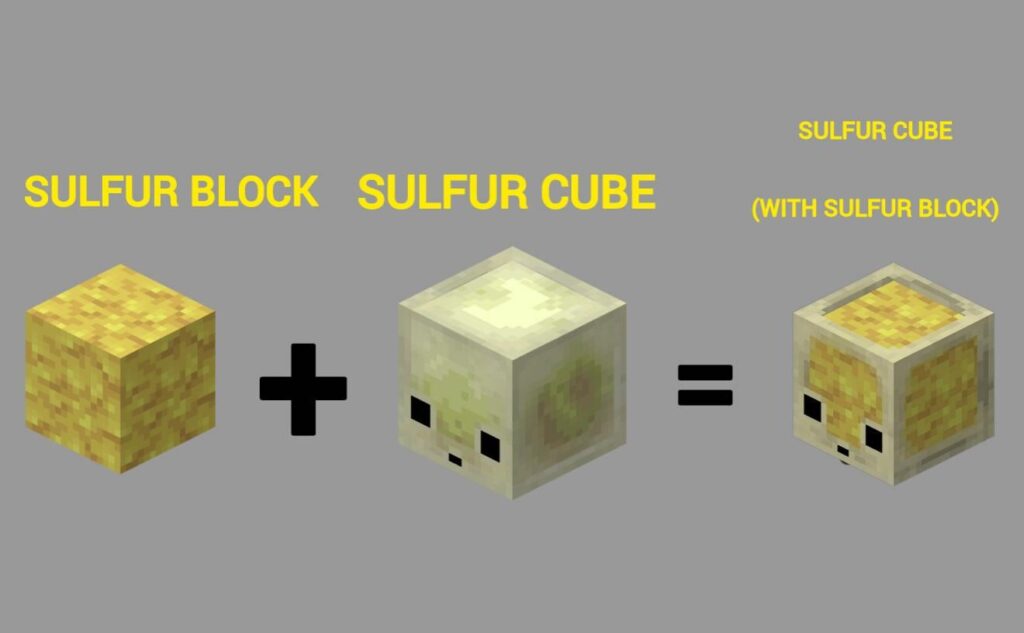 これを実行すると、どのような物理的結果が得られると予想されますか?
