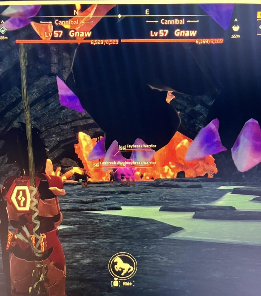 初めてグナウと戦いに行きました。