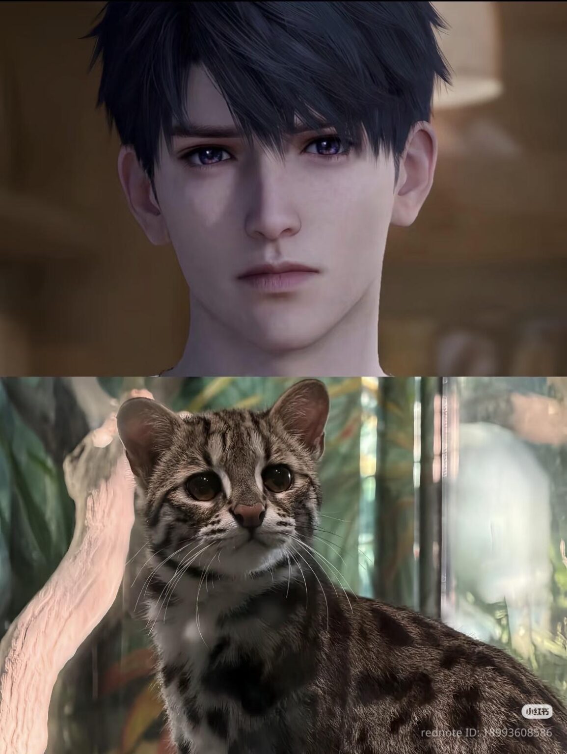 インフォールドがチーターを選んだ理由がようやく分かりました