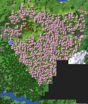 ハートに見える桜林を見つけました