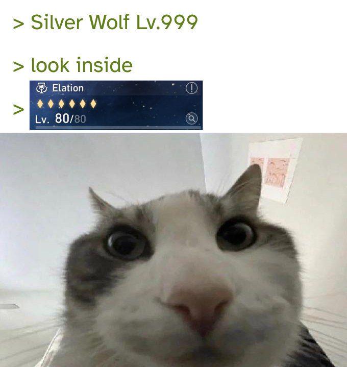 なんという詐欺だ