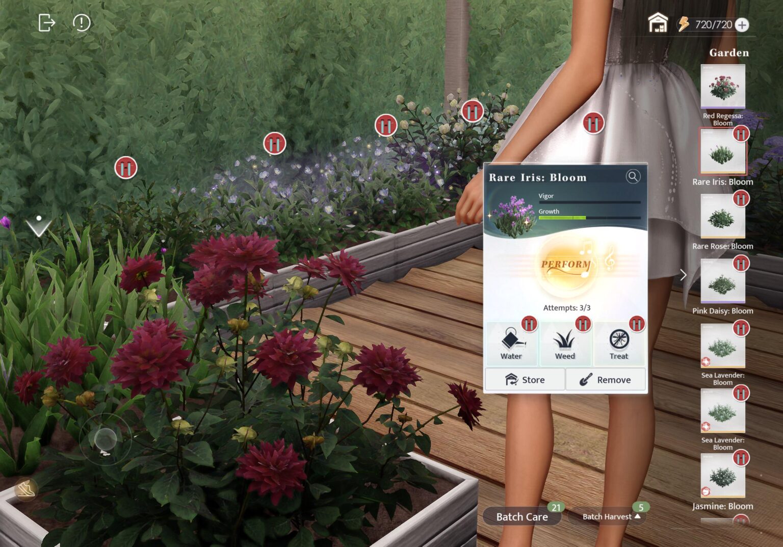 一週間も家を使っていない