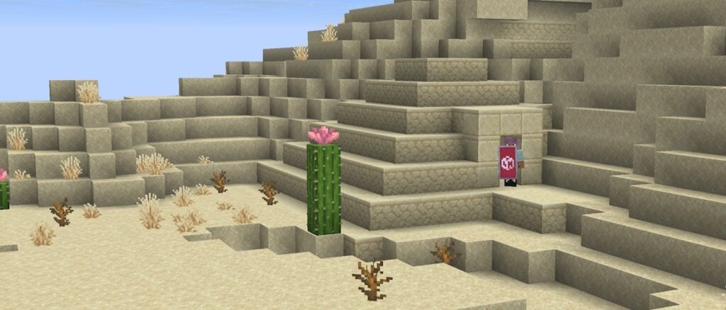 Efe is standing in the doorway to a partially buried Desert Pyramid, holding an enchanted red Shield with a white Globe pattern. To the left, there is a Cactus with a Cactus Flower.