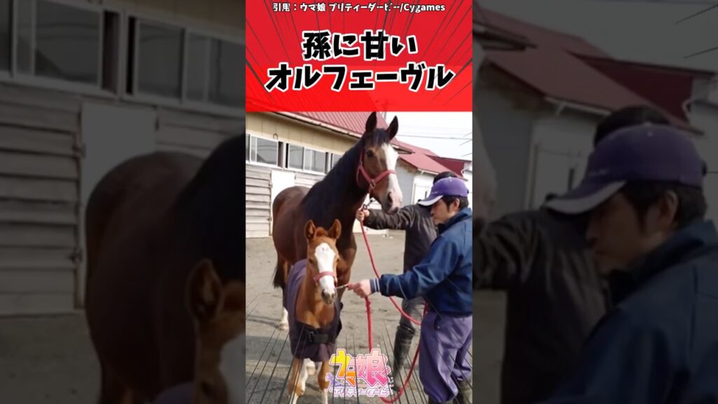 孫に甘いオルフェーヴルに対するトレーナーの反応【ウマ娘　まとめ】#shorts  #ウマ娘プリティーダービー #反応集 #ウマ娘