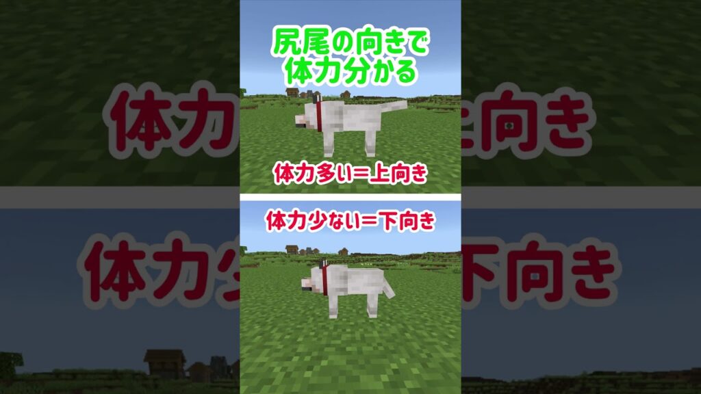 【これは使える】マイクラの裏技・豆知識 #マイクラ #マインクラフト #minecraft #shorts
