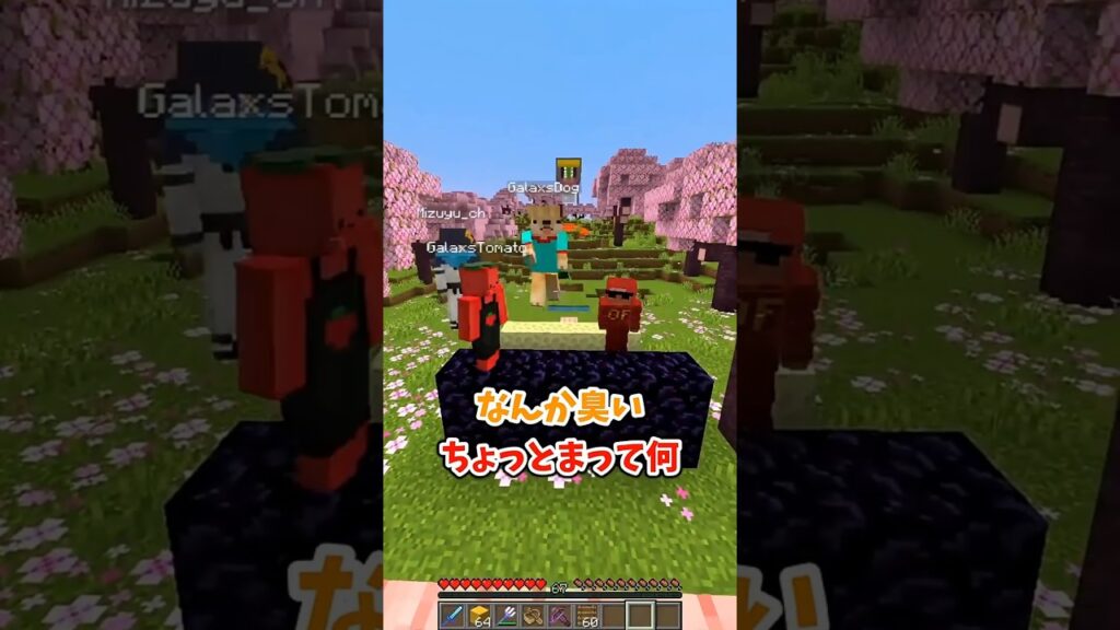 逃げるが勝ちとは限らない【マイクラ・マインクラフト・まいくら】#マイクラ #マインクラフト #shorts #tick #あにげー #shorts #おにごっこ