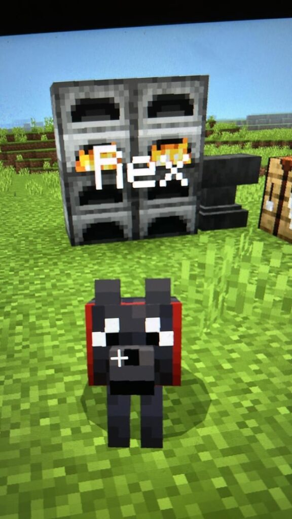 マインクラフトで私の犬を見つけました！