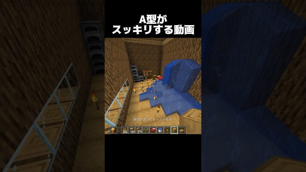 A型がスッキリする動画… #shorts #マインクラフト #マイクラ