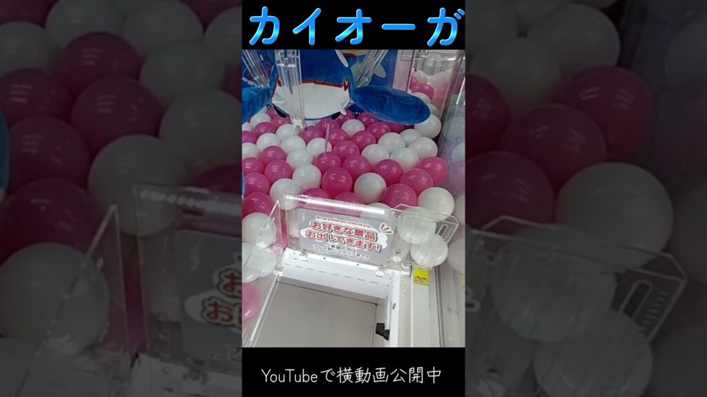 #クレーンゲーム #攻略 #確率無視 #ポケモン #カイオーガ