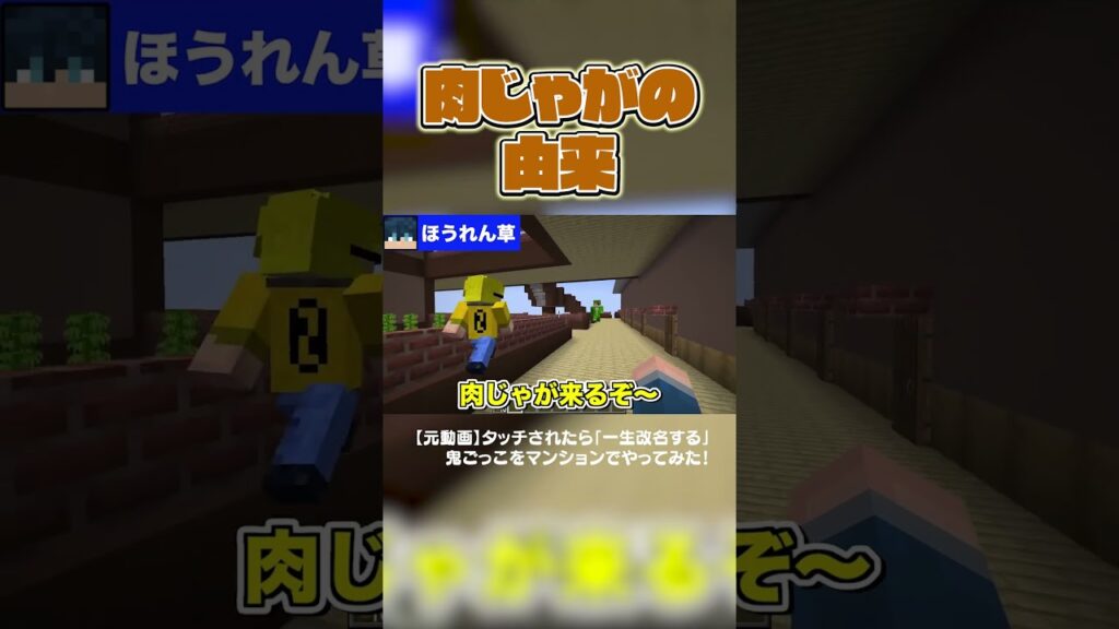 29jaga物語#からぴち#マインクラフト