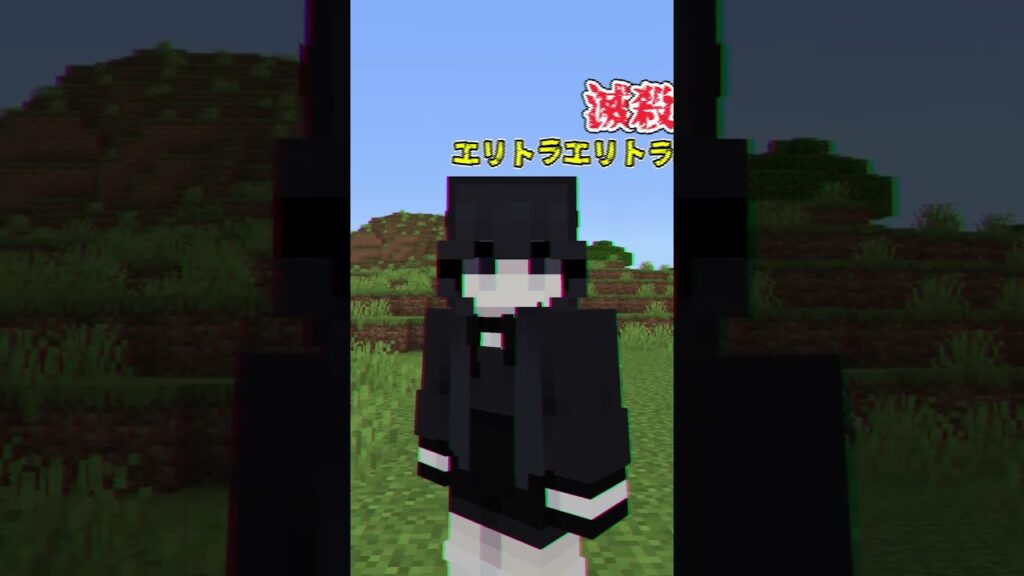 【アドオン紹介】エリトラの話をするな【統合版マイクラ】