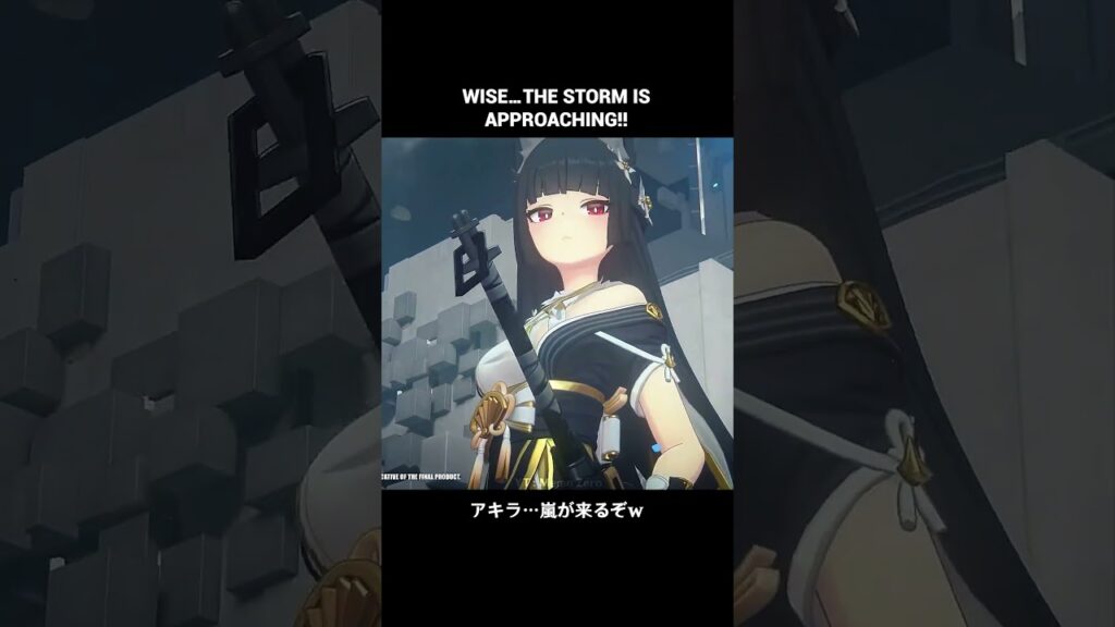 Wise… You See That Outfit Right? 【ゼンレスゾーンゼロ】