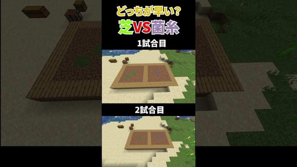 【マイクラ】どっちが早い？芝VS菌糸 #マイクラ #マインクラフト
