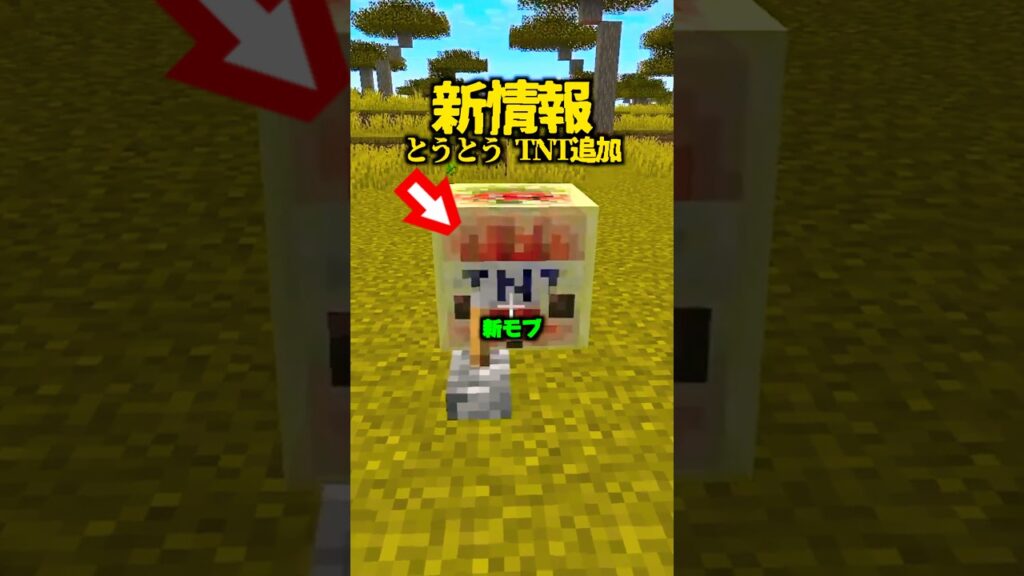 新情報！とうとう新モブ、TNT可能に...！【マイクラ】