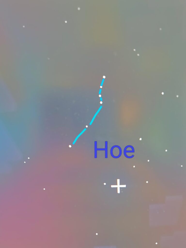 誰も星や夜空に興味を持っていないことがわかりました。地図も星座もありません。そこで自分で作ることにしました