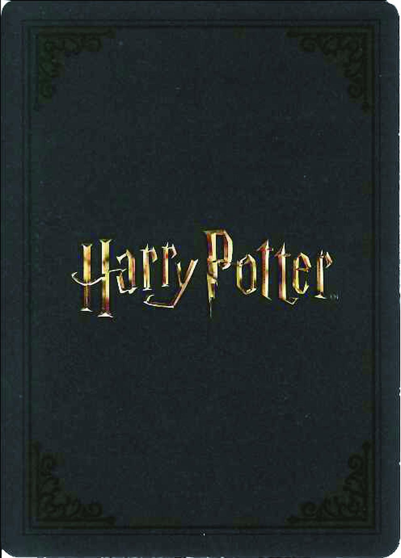 画像8: 【4月25日(土)第1弾発売!】コレクション性も抜群!映画「ハリー・ポッター」がカードゲームになって登場!