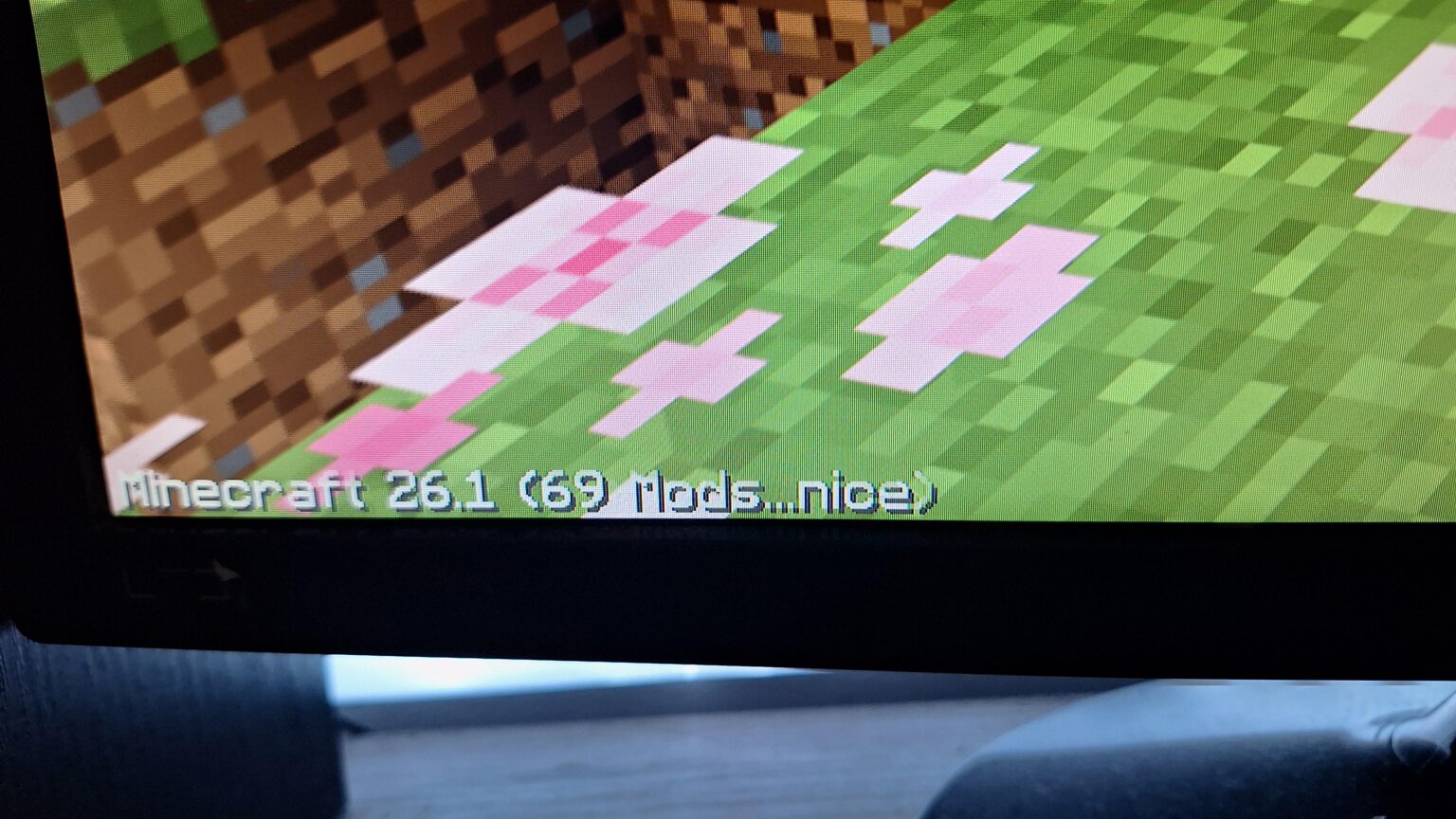 遊んでいたら素敵なものを発見