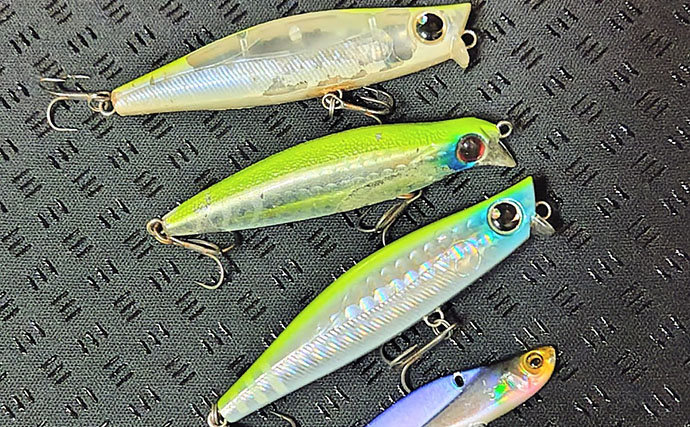 「ベイトはバチからハクへ？」リバーシーバスゲームで60cm級含み本命2匹！【千葉】