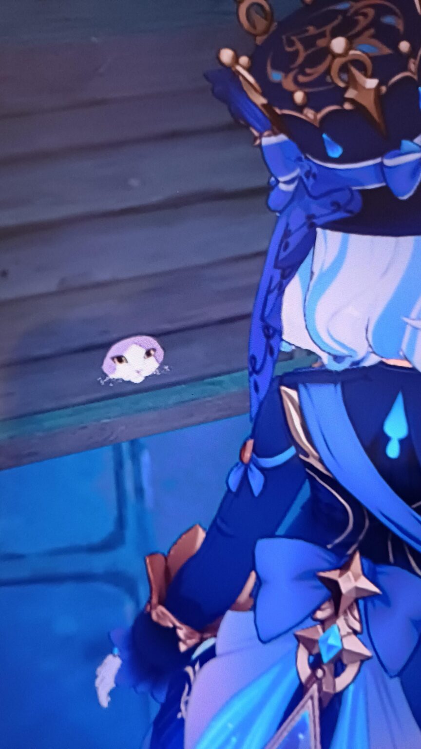 イナズマの箱から頭が出てる子猫はどうしたの🤔